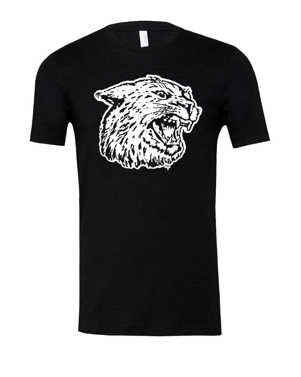 Triblend Tee Black Heather Triblend front mockup