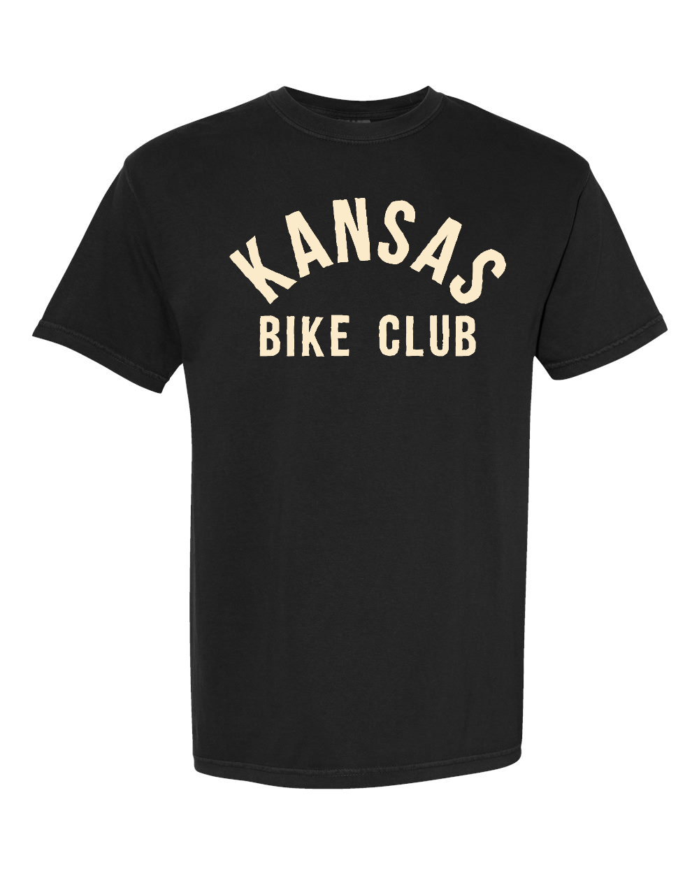 Unisex Garment-Dyed Heavyweight T-Shirt Black front mockup