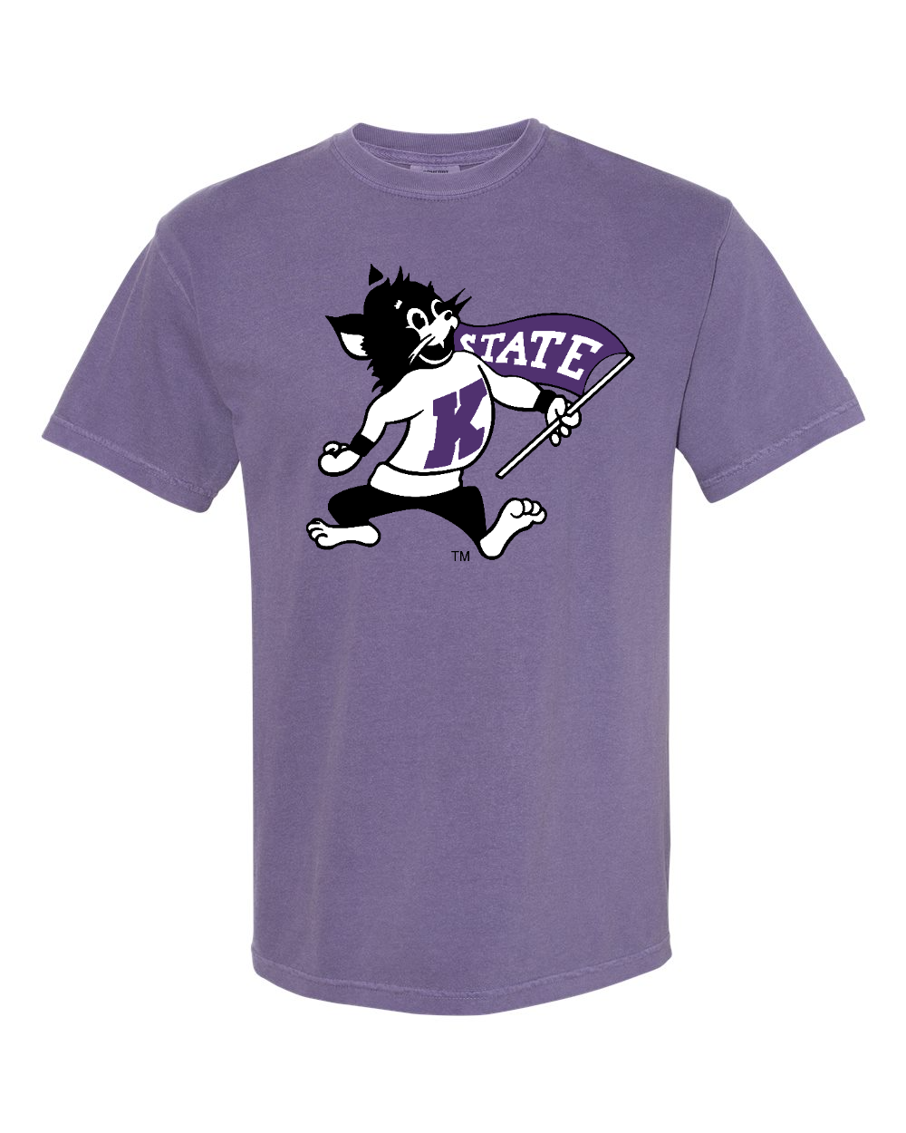 Unisex Garment-Dyed Heavyweight T-Shirt Grape front mockup