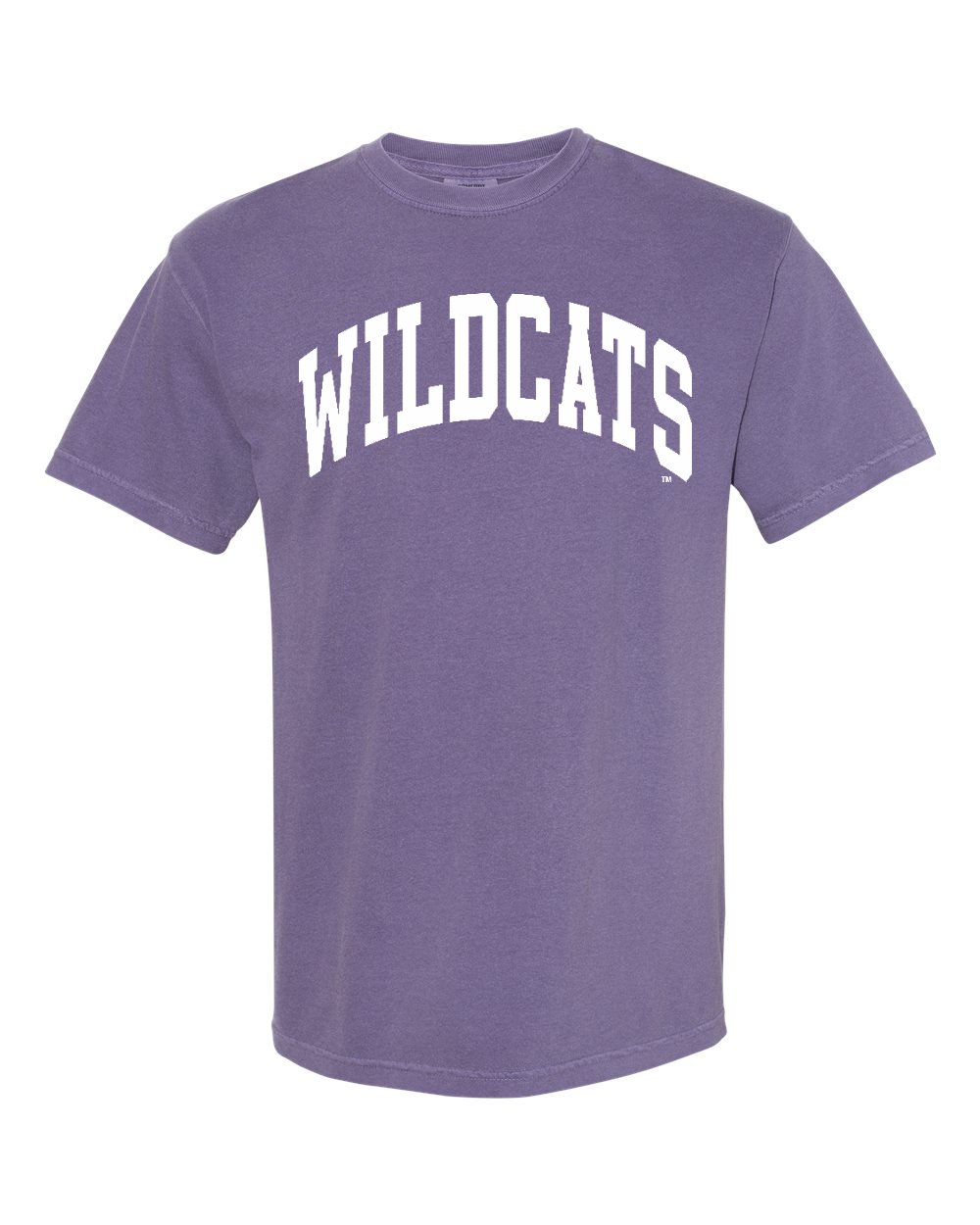 Unisex Garment-Dyed Heavyweight T-Shirt Grape front mockup