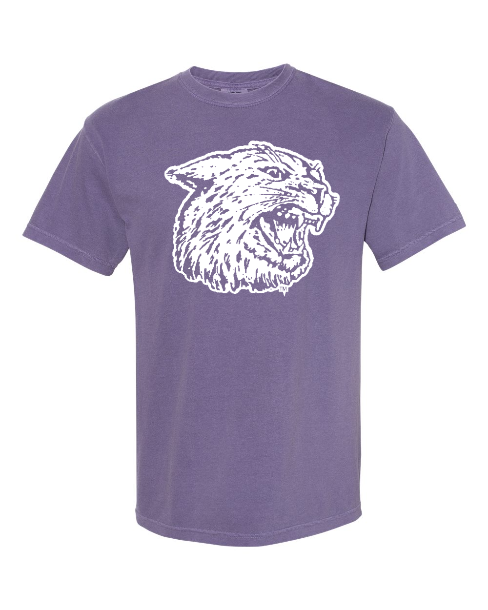 Unisex Garment-Dyed Heavyweight T-Shirt Grape front mockup