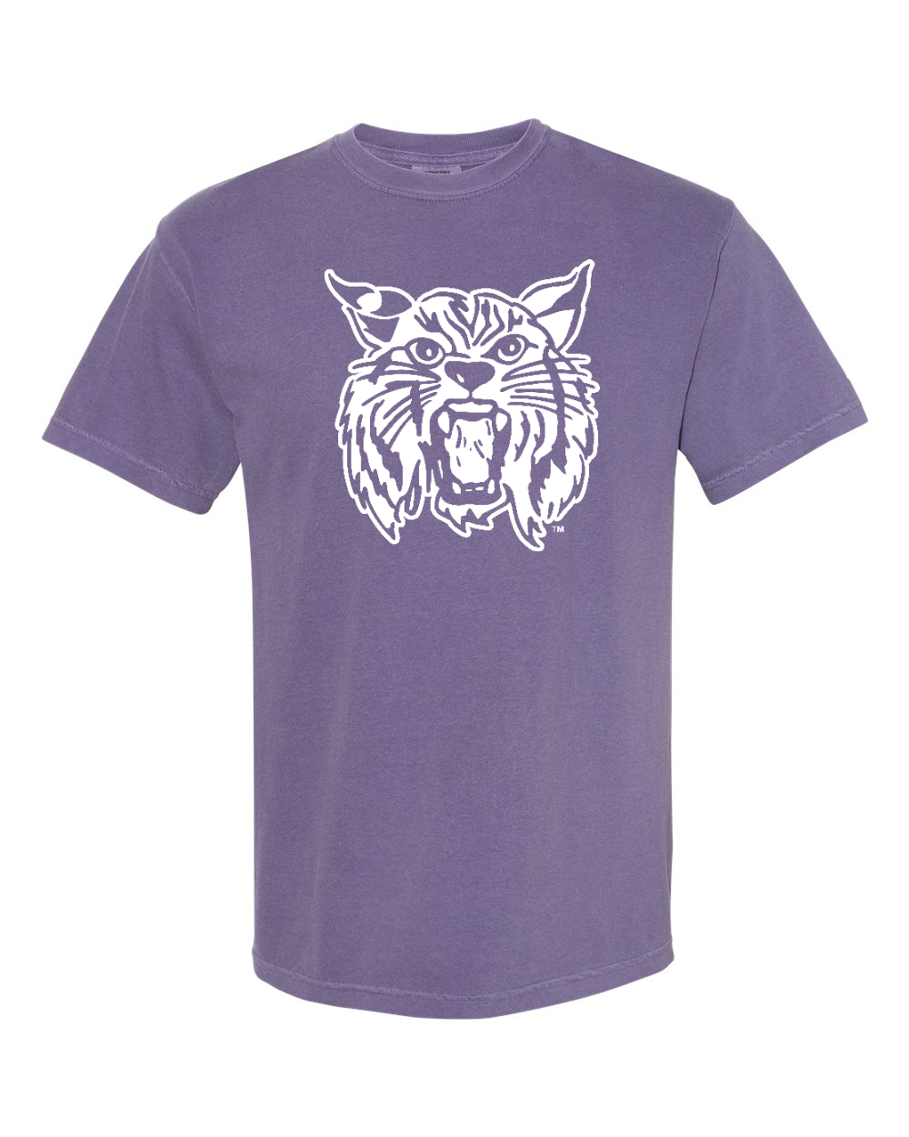 Unisex Garment-Dyed Heavyweight T-Shirt Grape front mockup