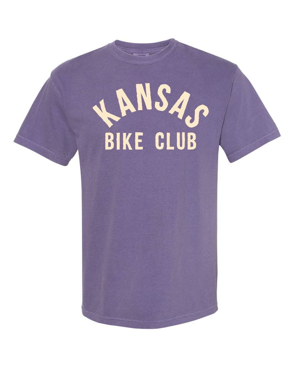 Unisex Garment-Dyed Heavyweight T-Shirt Grape front mockup