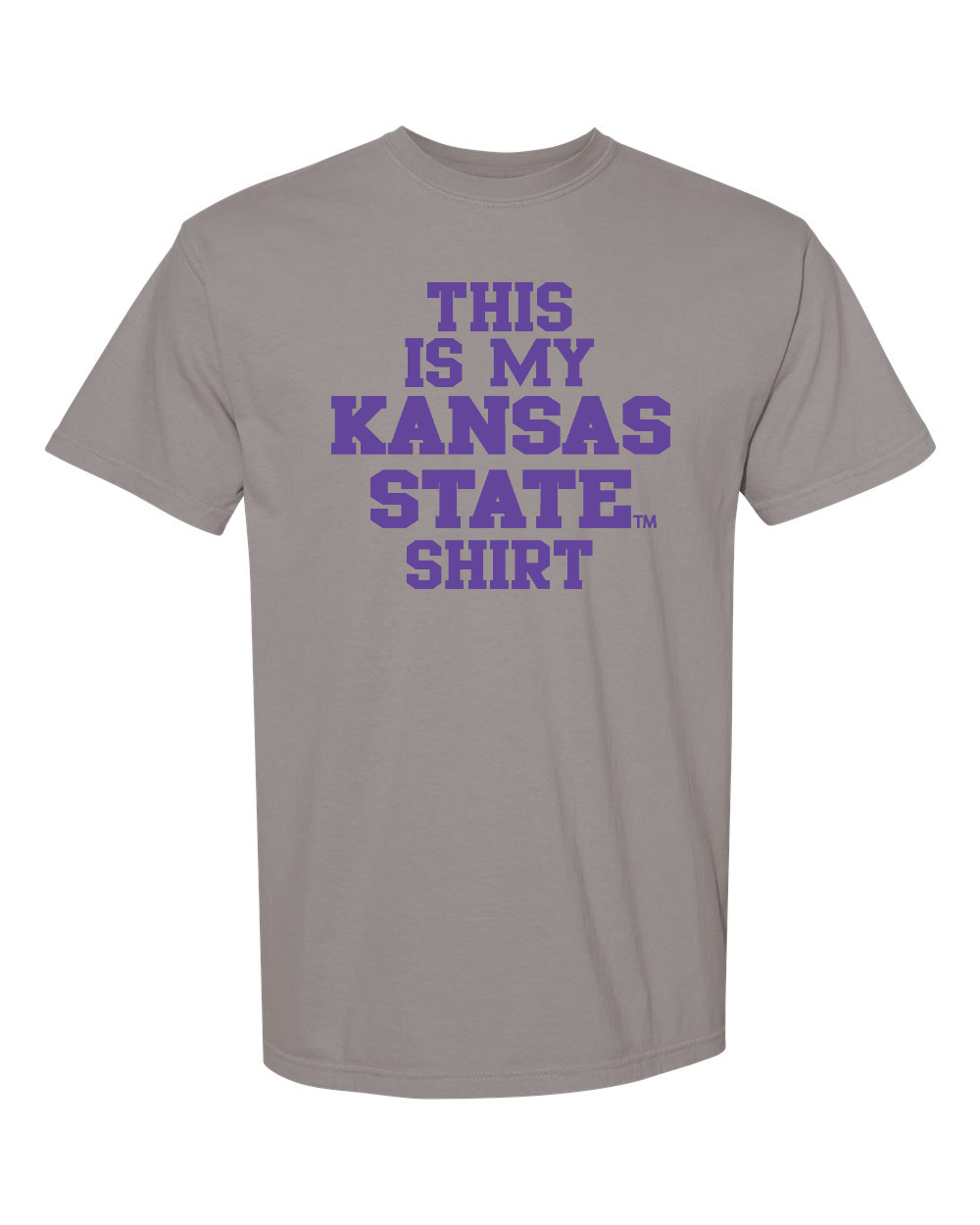 Unisex Garment-Dyed Heavyweight T-Shirt Grey front mockup