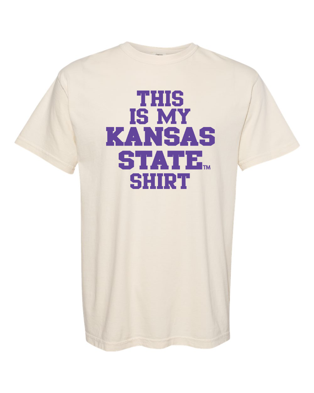 Unisex Garment-Dyed Heavyweight T-Shirt Ivory front mockup