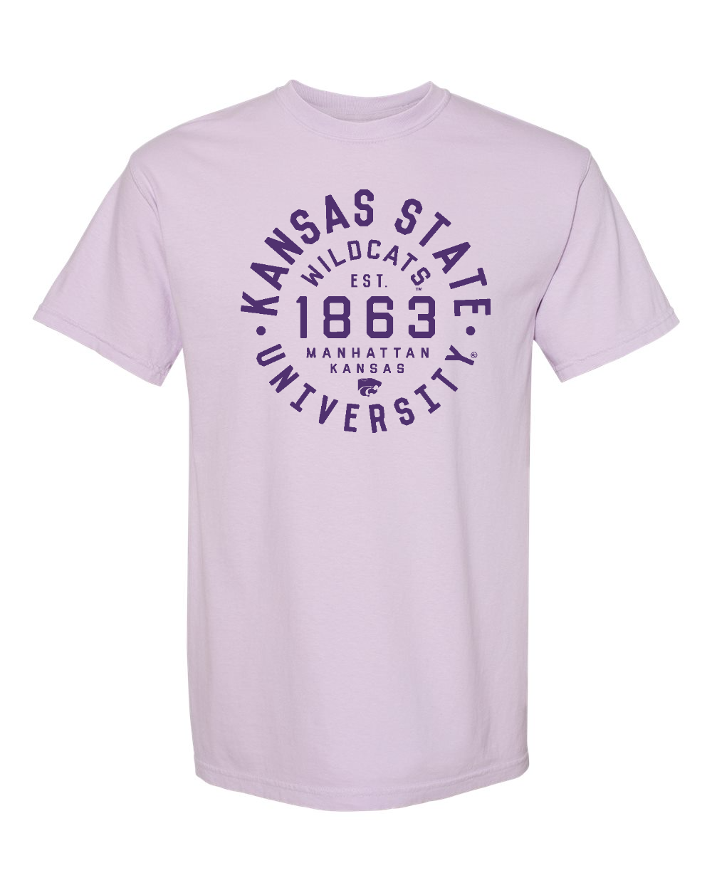 Unisex Garment-Dyed Heavyweight T-Shirt Orchid front mockup