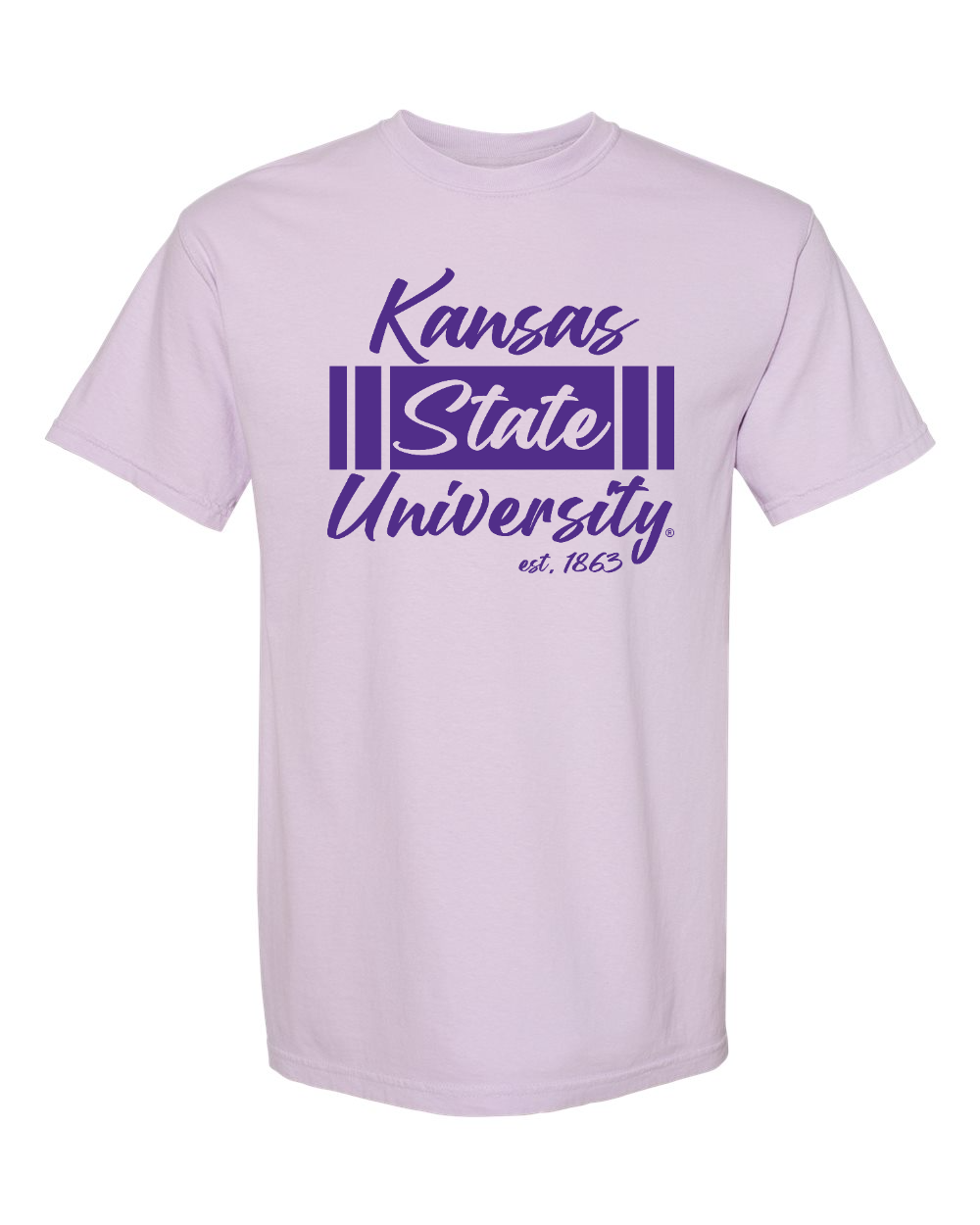 Unisex Garment-Dyed Heavyweight T-Shirt Orchid front mockup