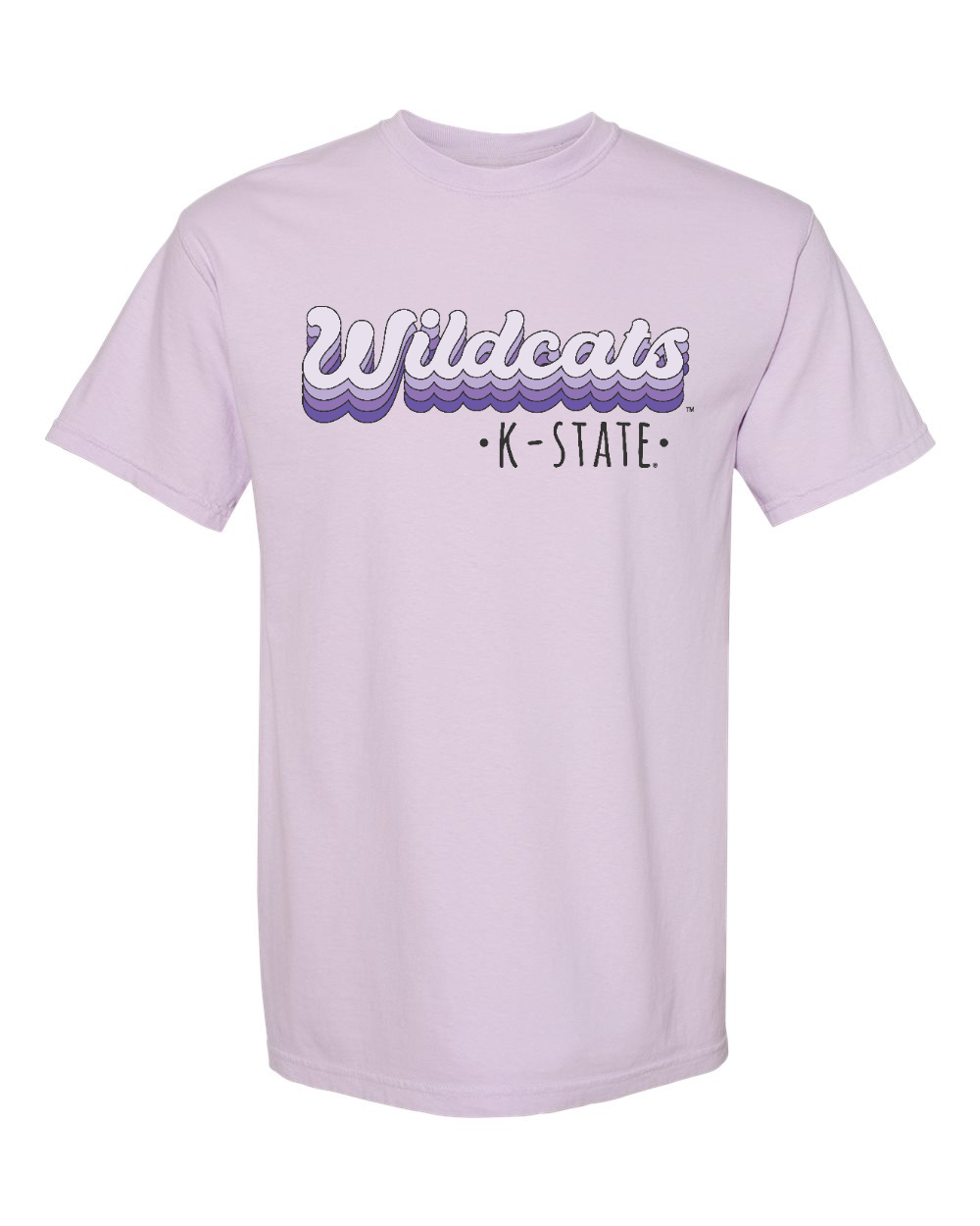 Unisex Garment-Dyed Heavyweight T-Shirt Orchid front mockup