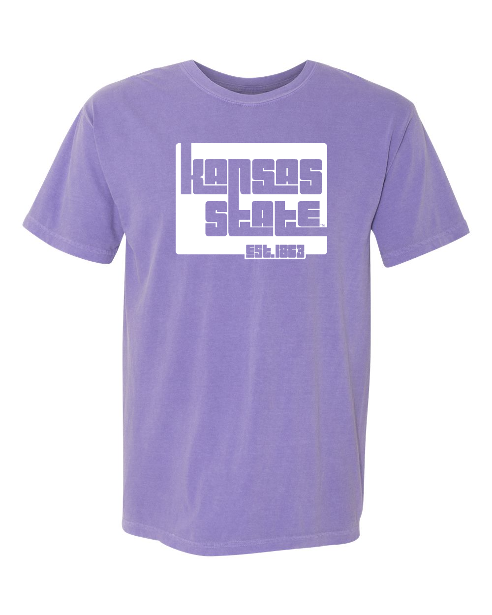 Unisex Garment-Dyed Heavyweight T-Shirt Violet front mockup