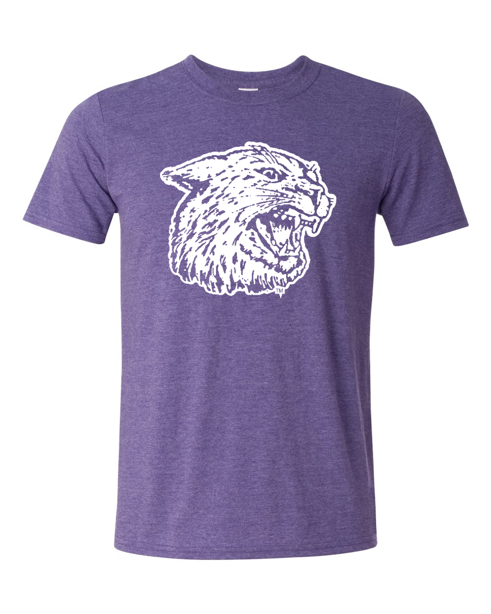 Unisex Softstyle® T-Shirt Heather Purple front mockup