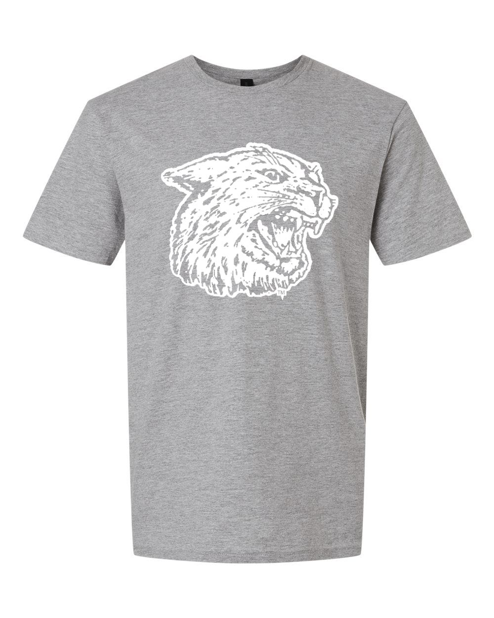 Unisex Softstyle® T-Shirt Sport Grey front mockup