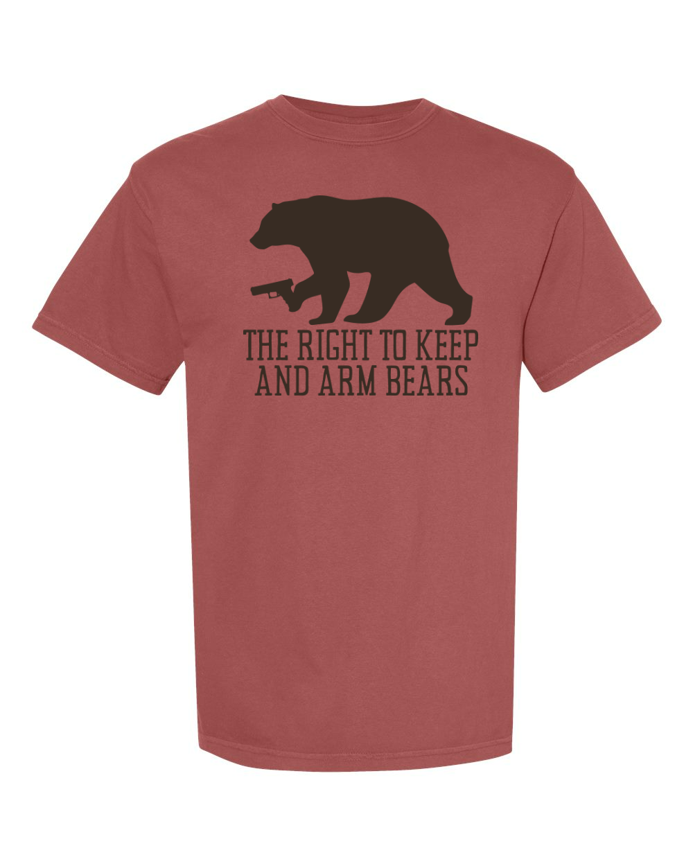 Comfort Colors Unisex Garment-Dyed Heavyweight T-Shirt Brick front mockup