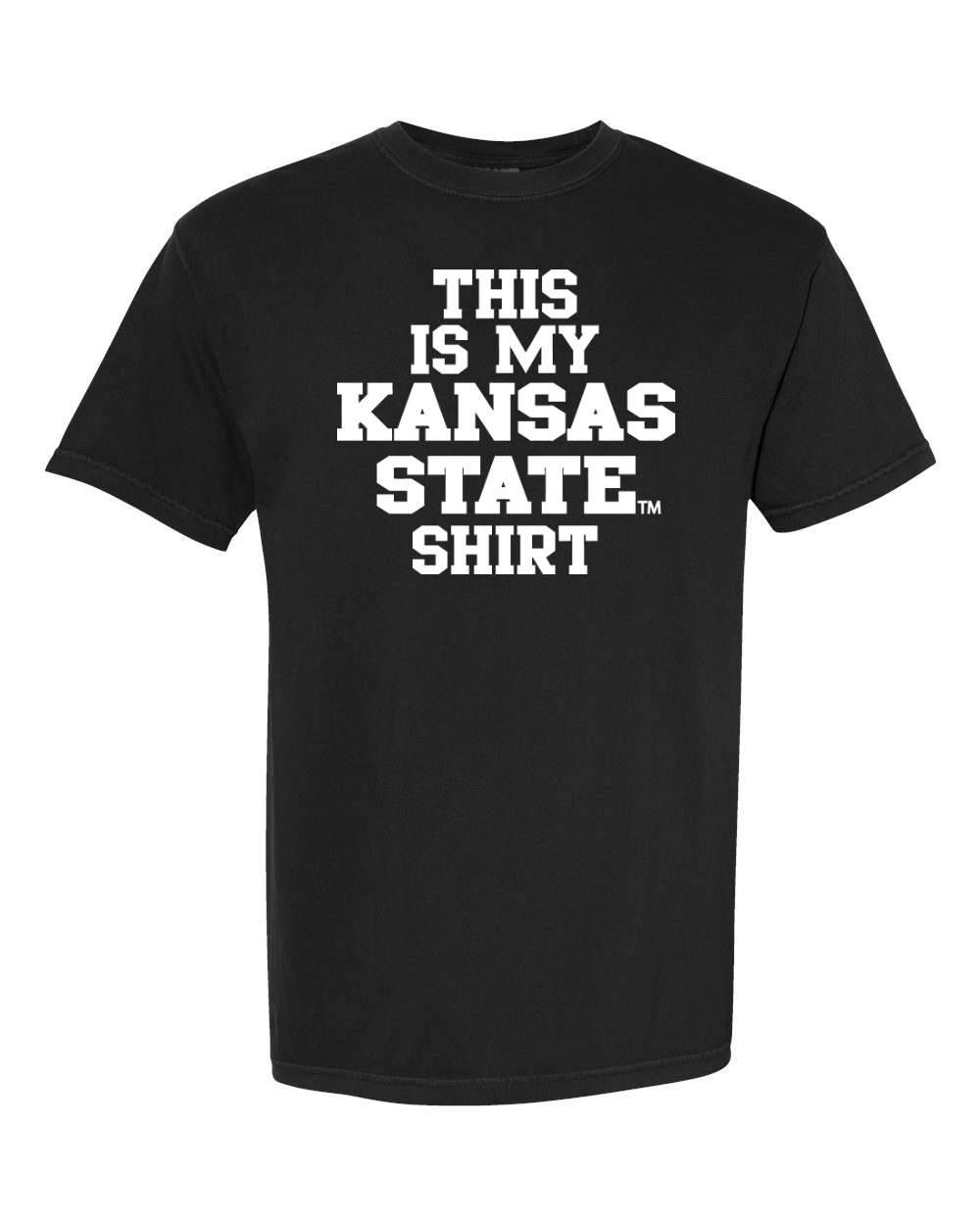 Comfort Colors Unisex Garment-Dyed Heavyweight T-Shirt Black front mockup