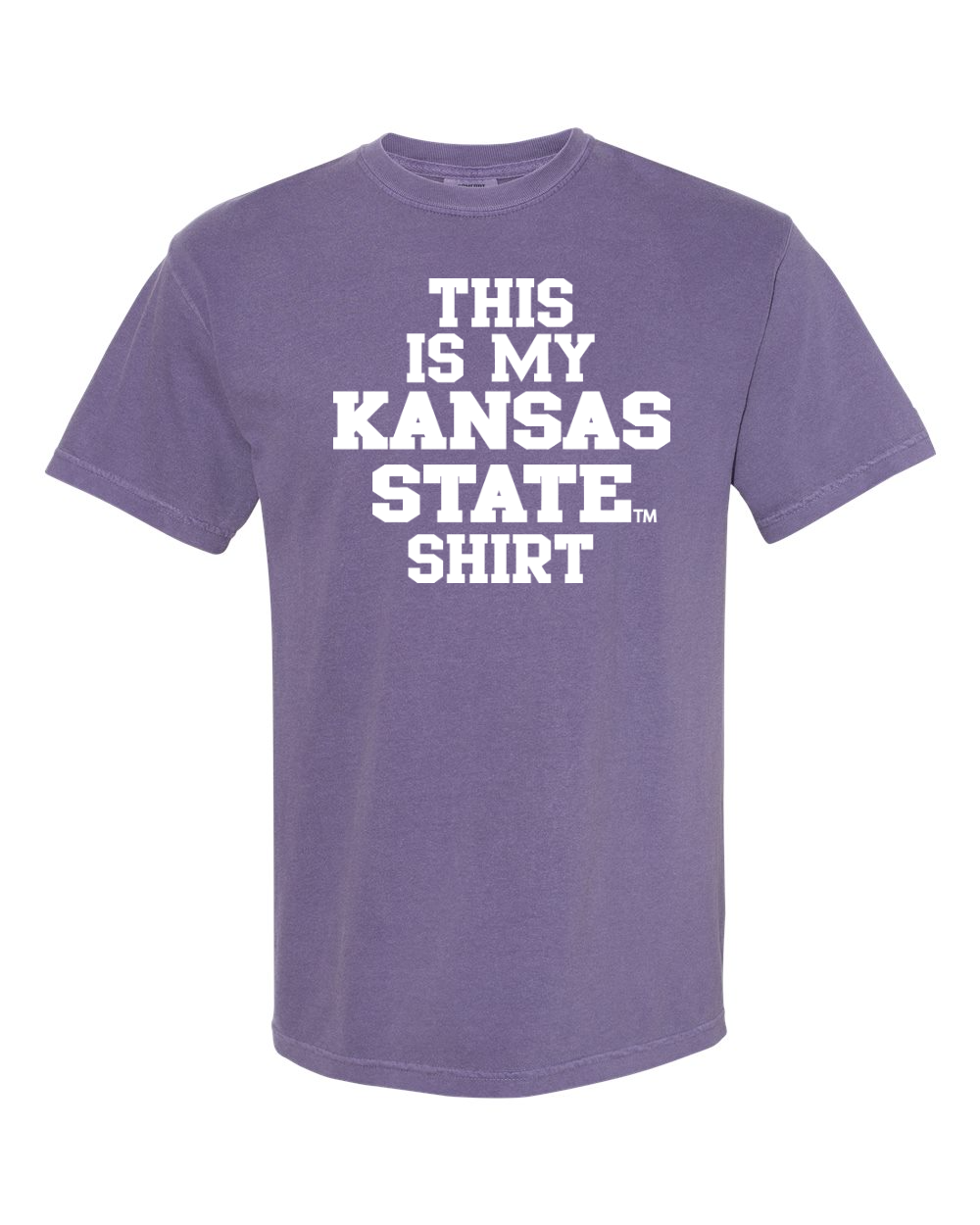 Comfort Colors Unisex Garment-Dyed Heavyweight T-Shirt Grape front mockup