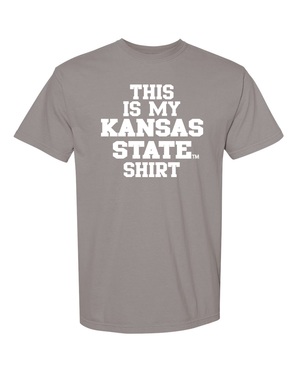 Comfort Colors Unisex Garment-Dyed Heavyweight T-Shirt Grey front mockup