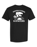 Comfort Colors Unisex Garment-Dyed Heavyweight T-Shirt Black front mockup