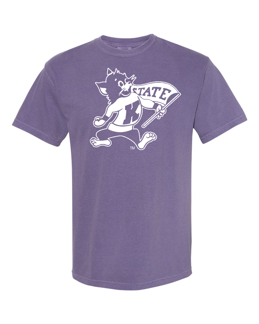 Comfort Colors Unisex Garment-Dyed Heavyweight T-Shirt Grape front mockup