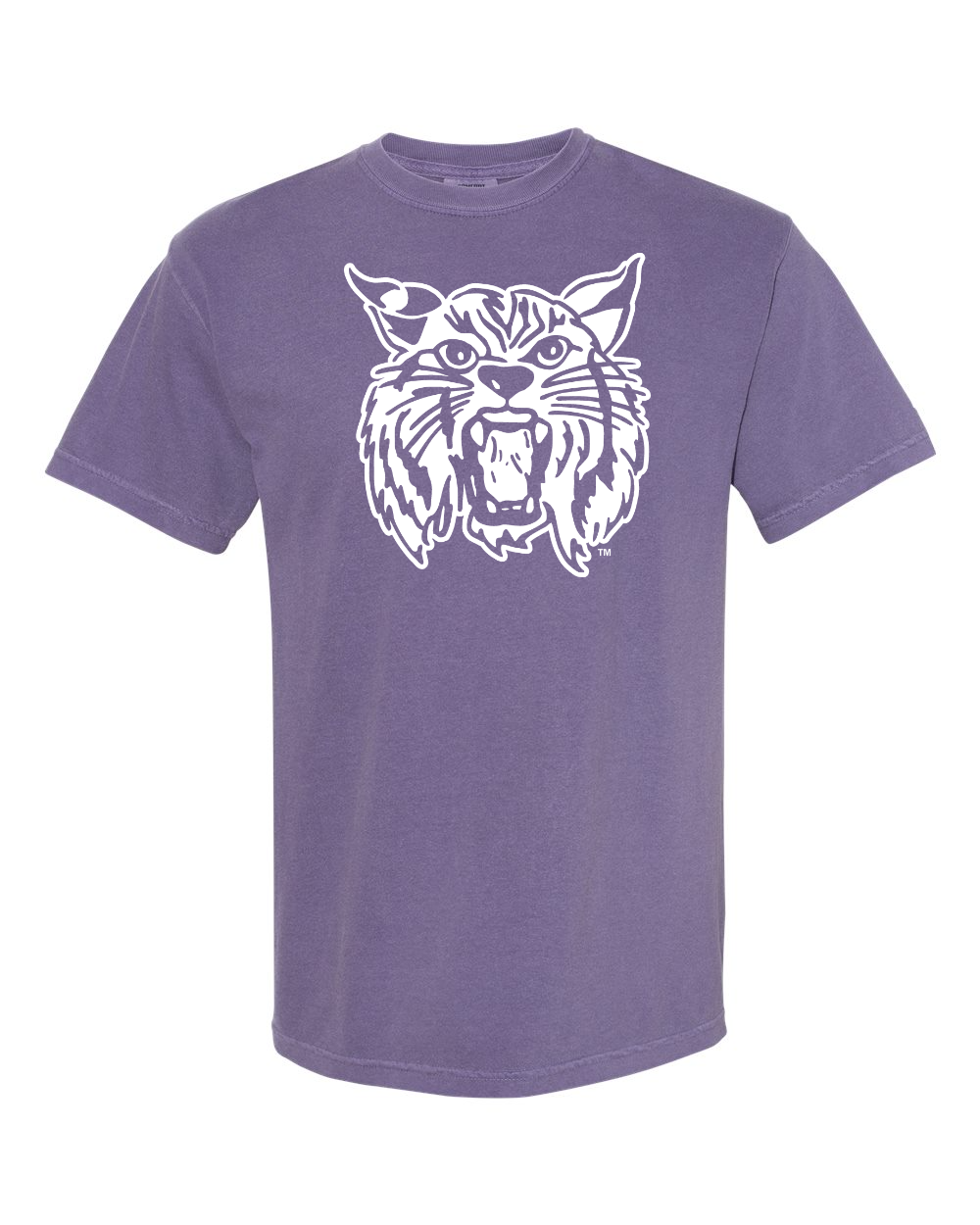 Comfort Colors Unisex Garment-Dyed Heavyweight T-Shirt Grape front mockup