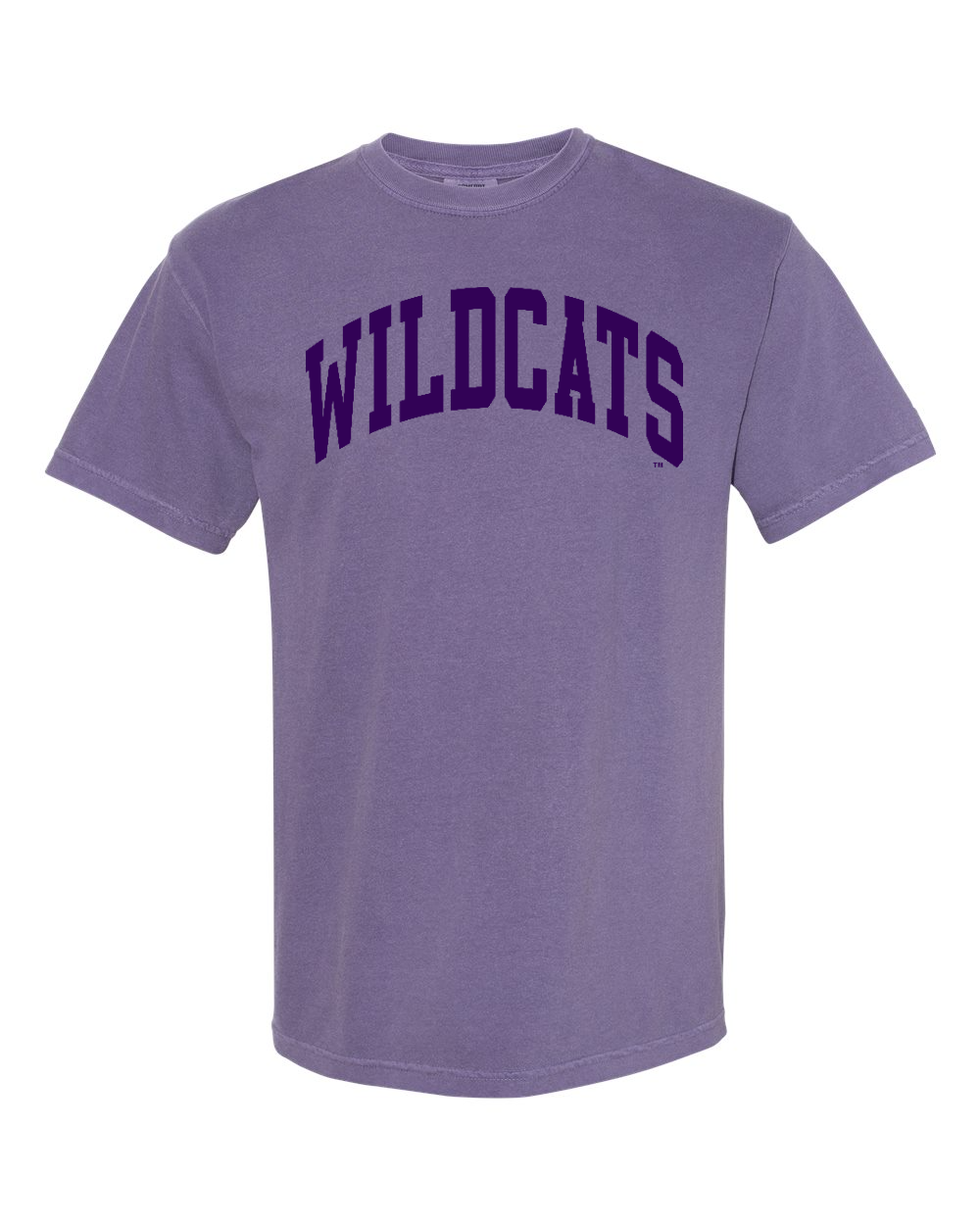 Comfort Colors Unisex Garment-Dyed Heavyweight T-Shirt Grape front mockup