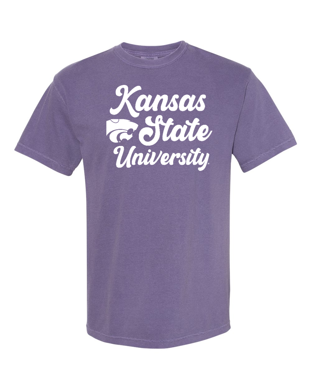 Comfort Colors Unisex Garment-Dyed Heavyweight T-Shirt Grape front mockup