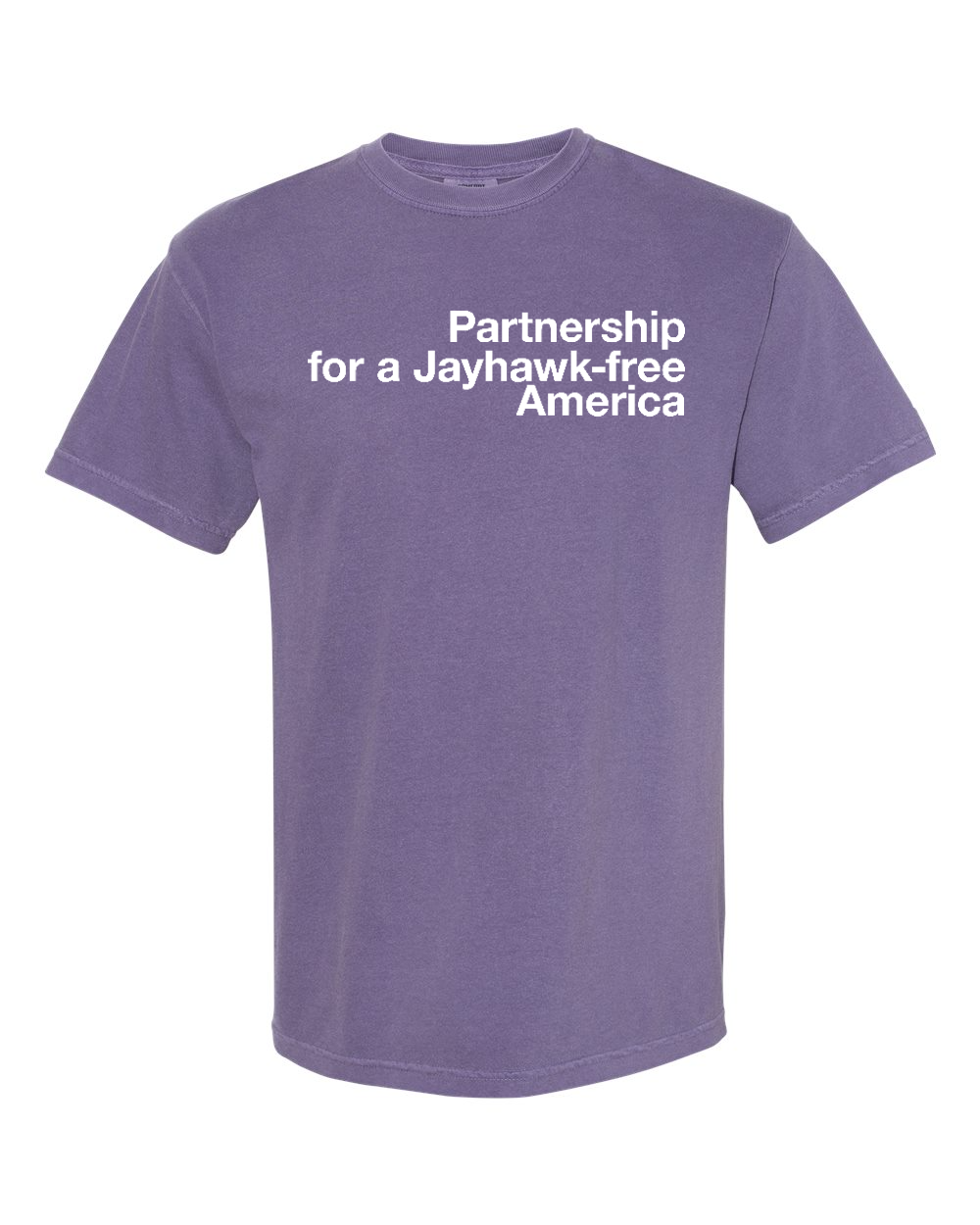 Comfort Colors Unisex Garment-Dyed Heavyweight T-Shirt Grape front mockup