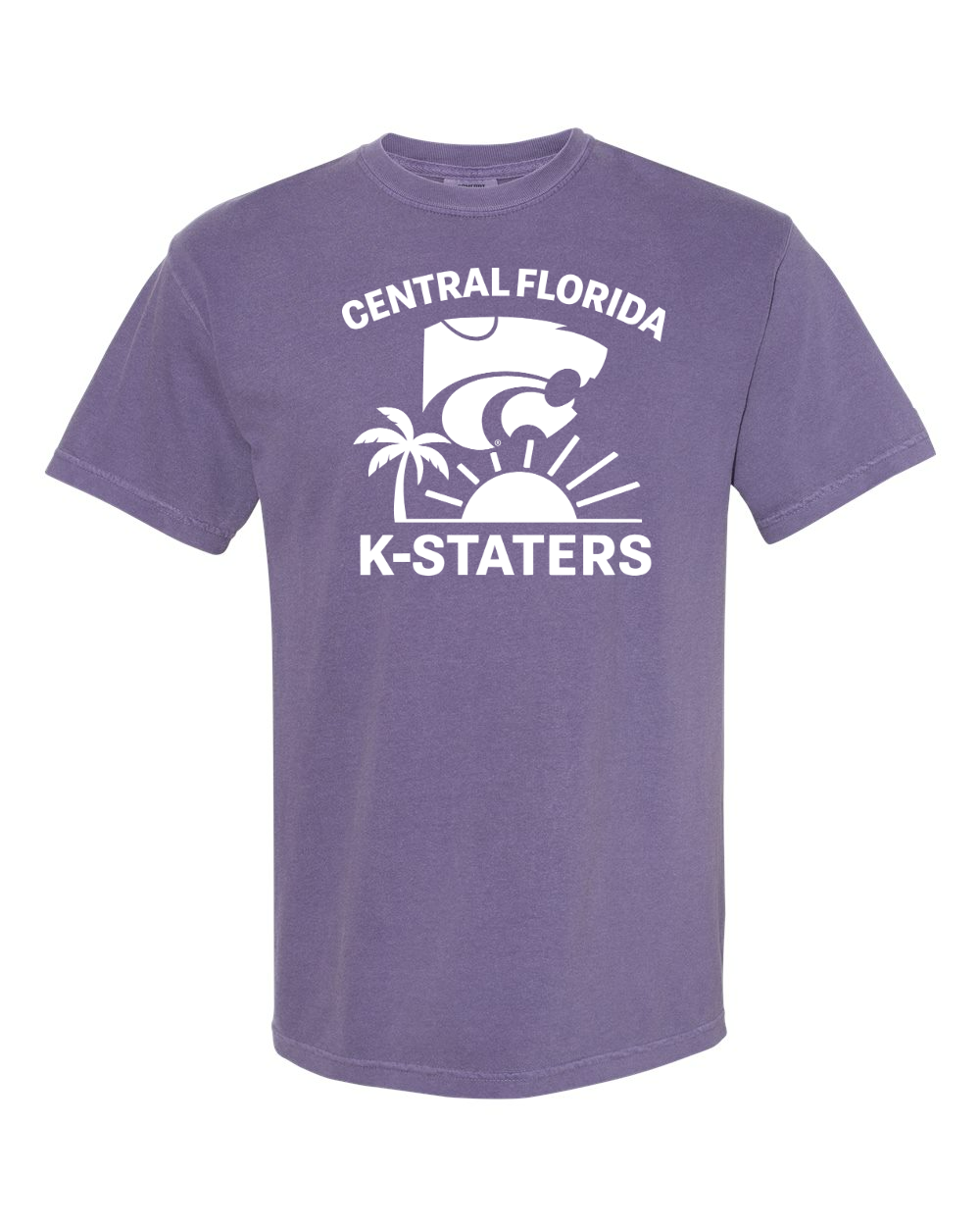 Comfort Colors Unisex Garment-Dyed Heavyweight T-Shirt Grape front mockup