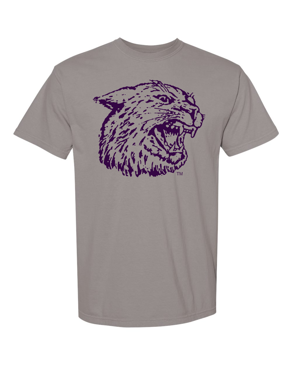 Comfort Colors Unisex Garment-Dyed Heavyweight T-Shirt Grey front mockup