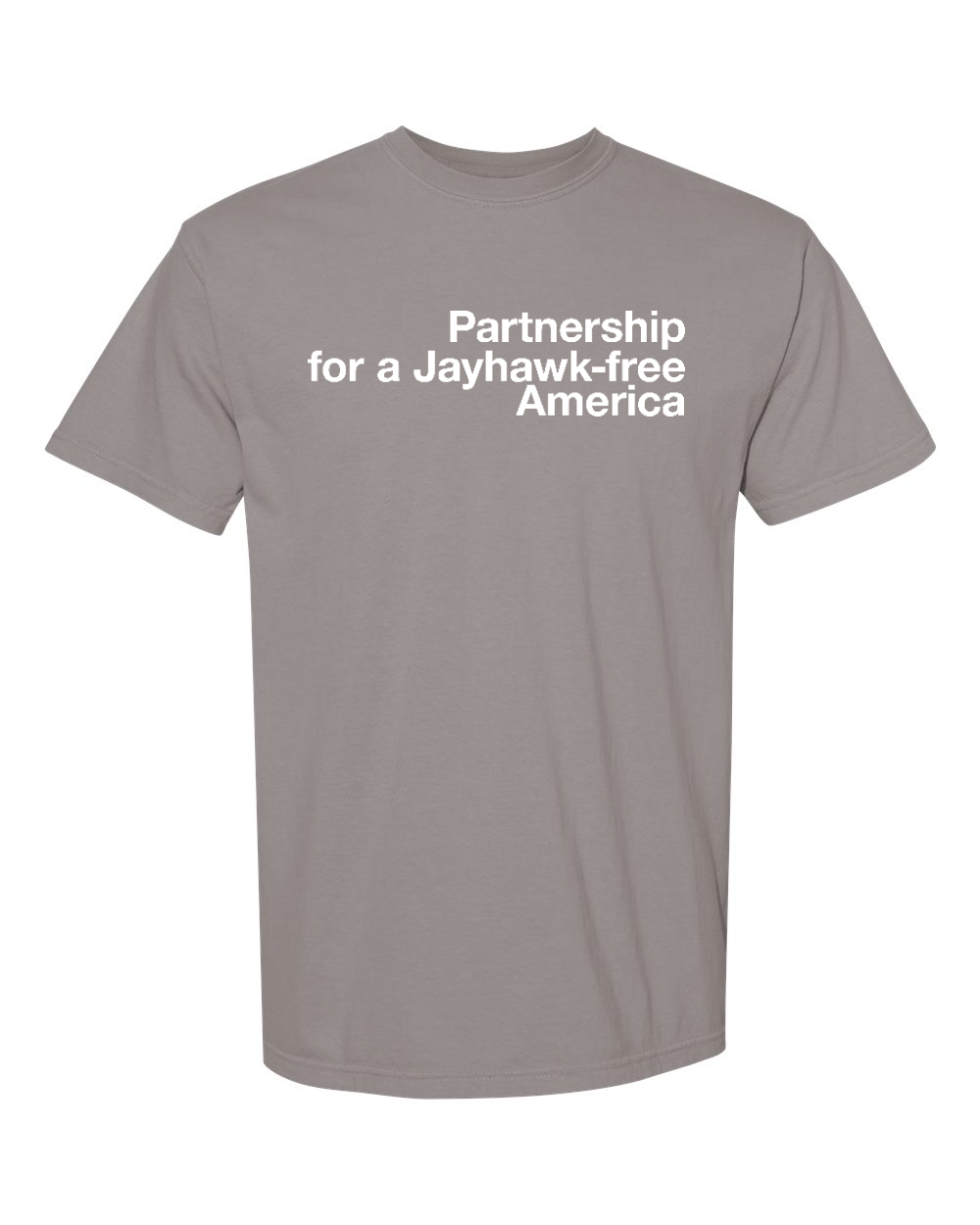 Comfort Colors Unisex Garment-Dyed Heavyweight T-Shirt Grey front mockup