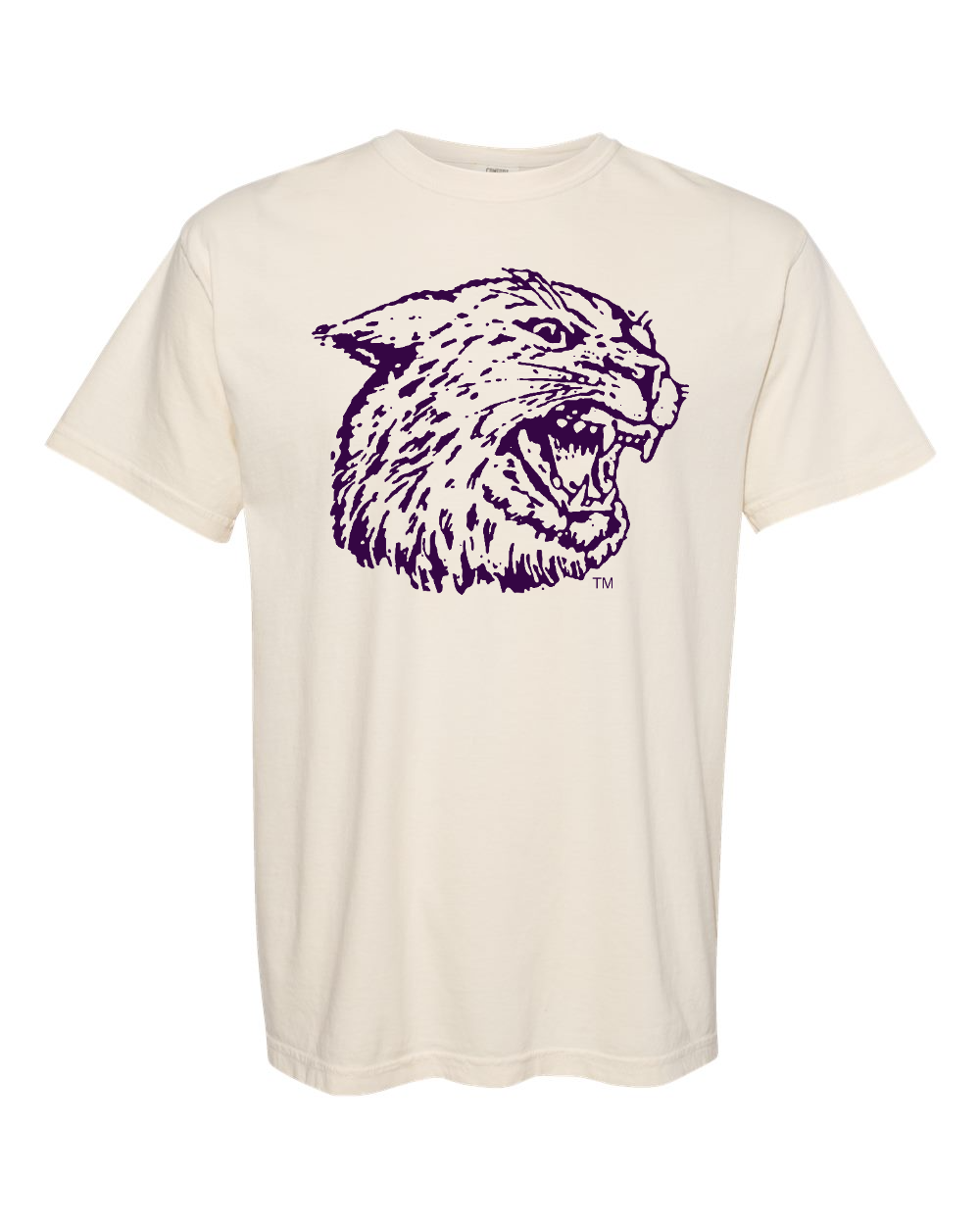 Comfort Colors Unisex Garment-Dyed Heavyweight T-Shirt Ivory front mockup