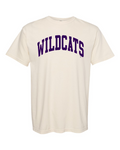 Comfort Colors Unisex Garment-Dyed Heavyweight T-Shirt Ivory front mockup