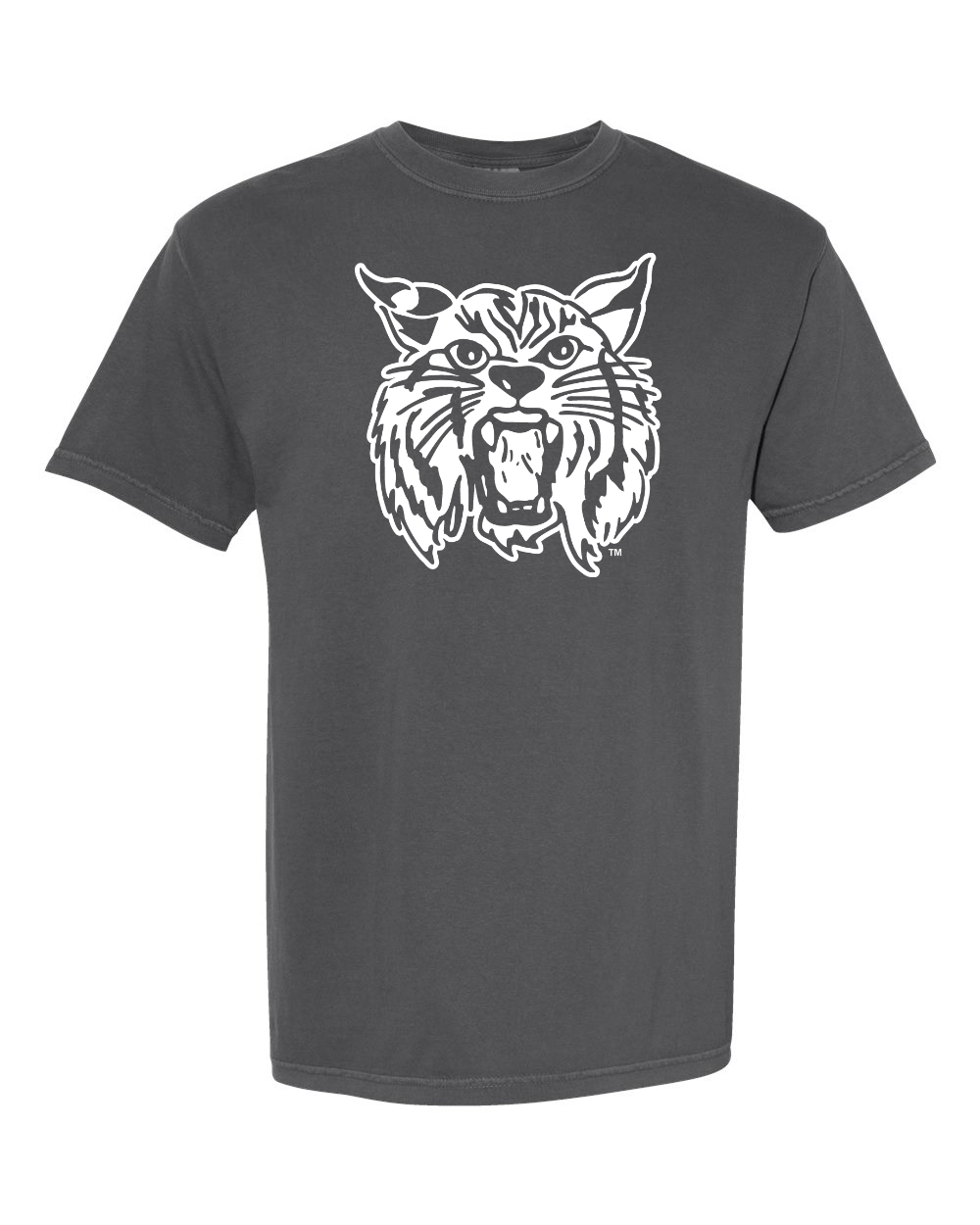Comfort Colors Unisex Garment-Dyed Heavyweight T-Shirt Pepper front mockup