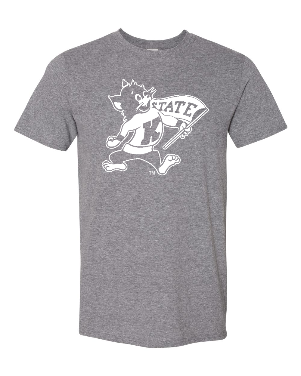 Gildan Unisex Softstyle® T-Shirt Graphite Heather front mockup