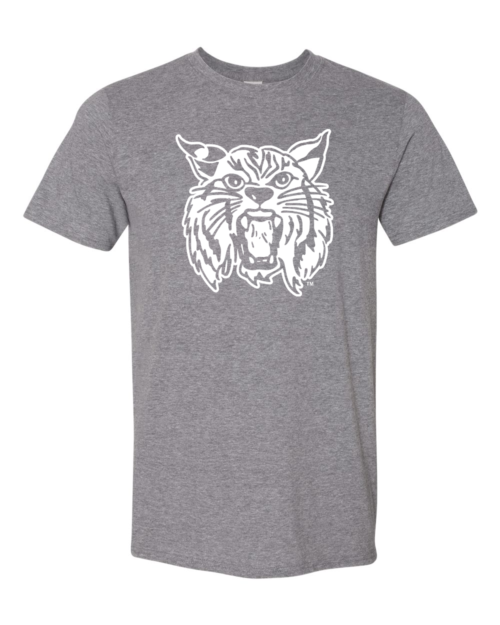 Gildan Unisex Softstyle® T-Shirt Graphite Heather front mockup
