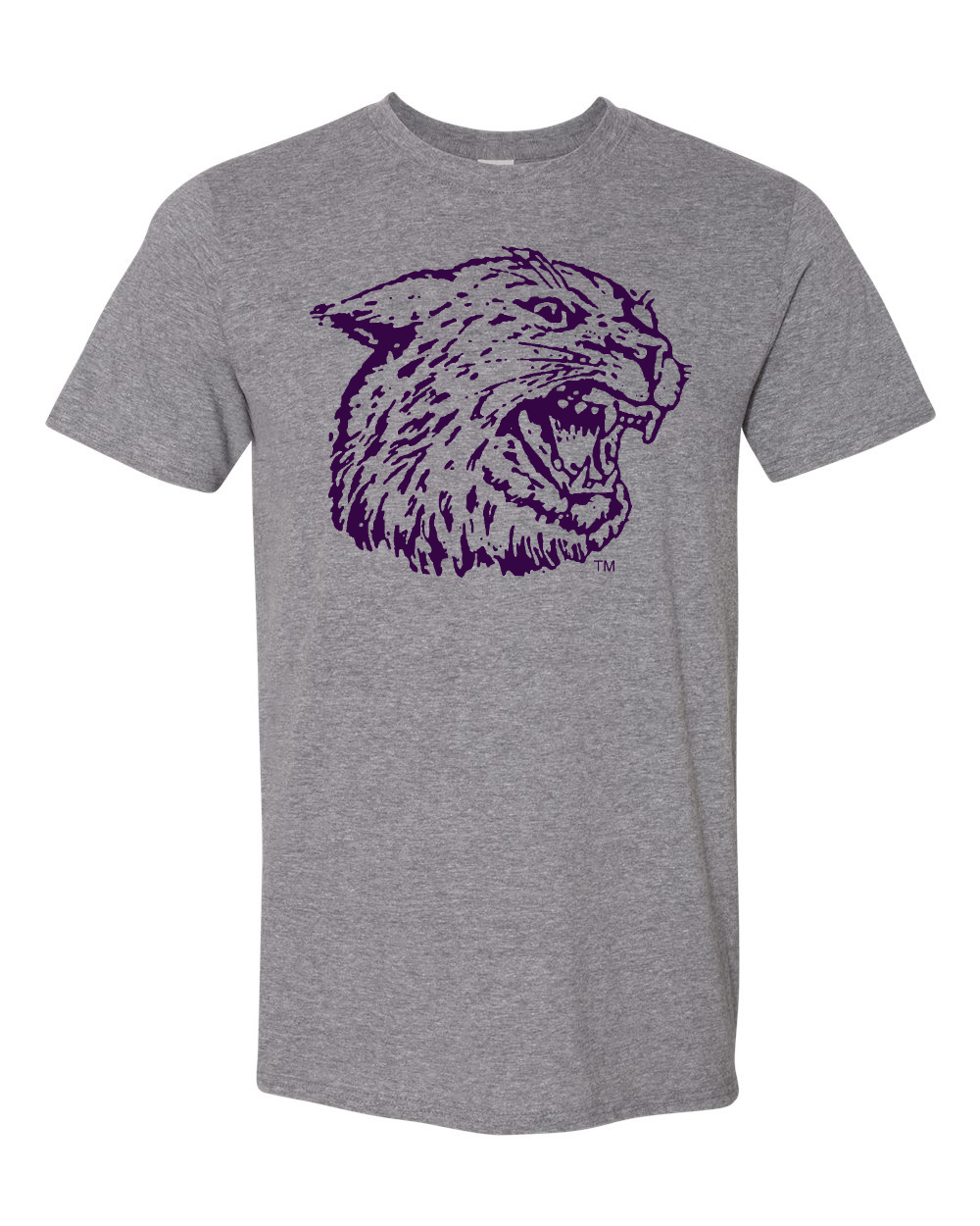 Gildan Unisex Softstyle® T-Shirt Graphite Heather front mockup