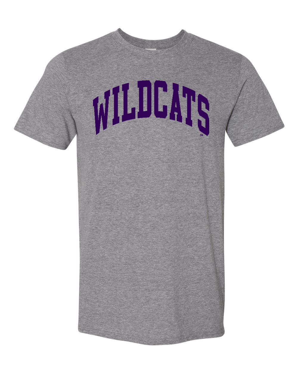 Gildan Unisex Softstyle® T-Shirt Graphite Heather front mockup