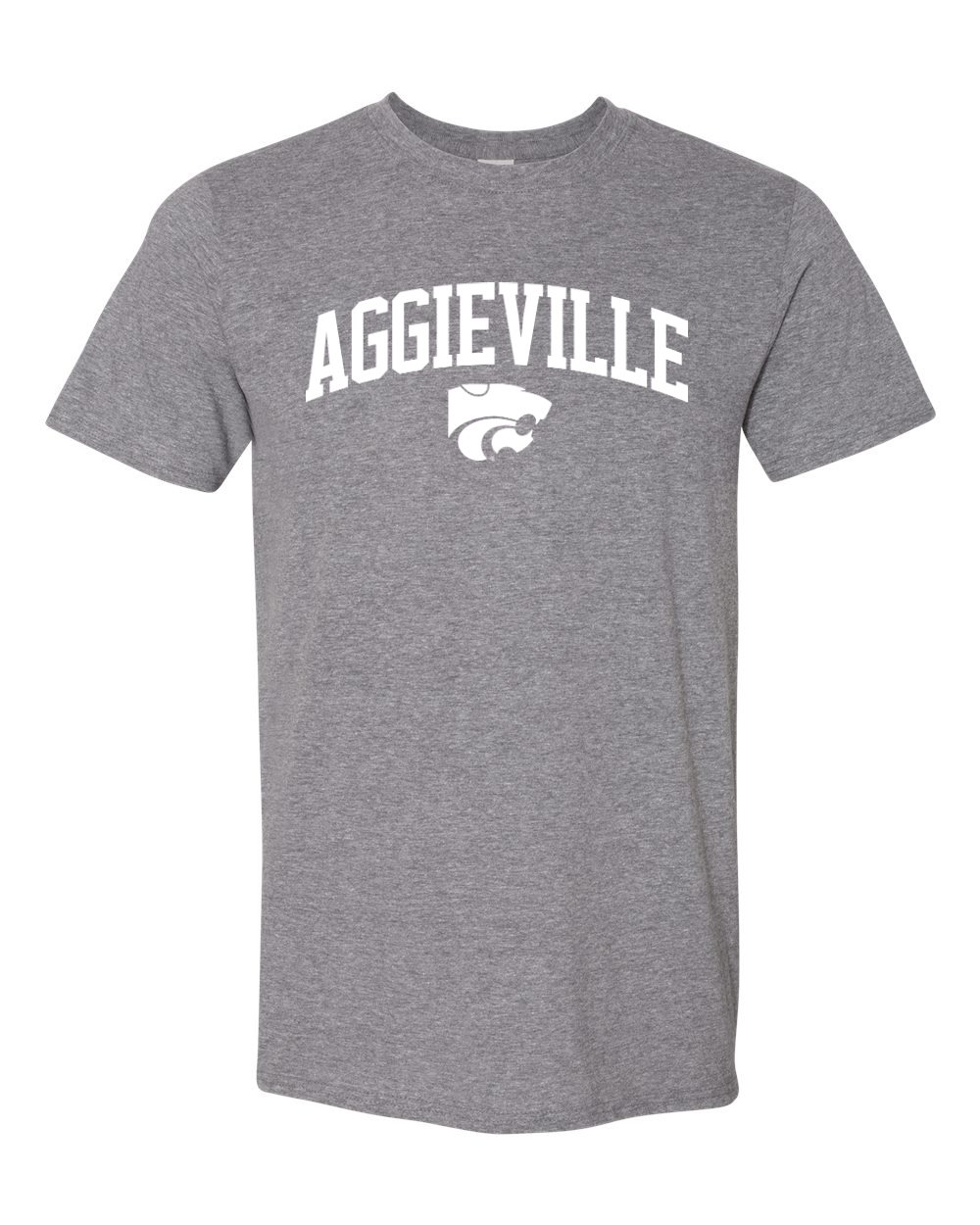 Gildan Unisex Softstyle® T-Shirt Graphite Heather front mockup