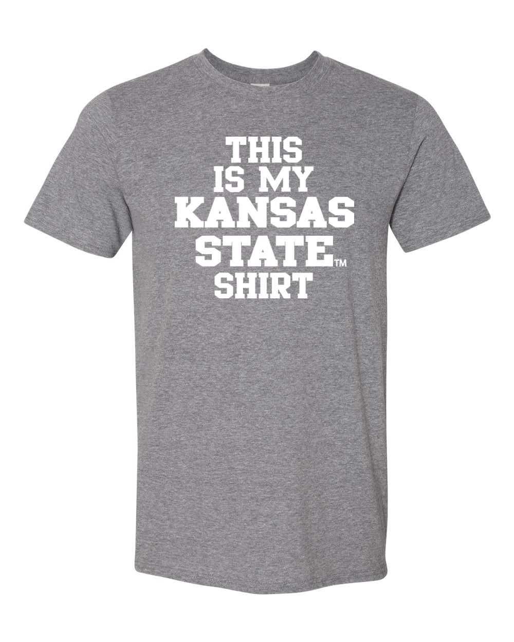 Gildan Unisex Softstyle® T-Shirt Graphite Heather front mockup