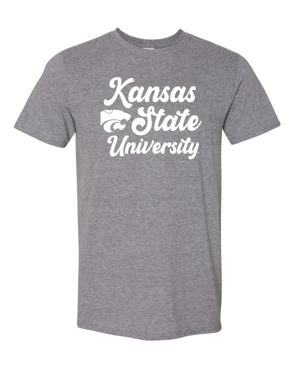 Gildan Unisex Softstyle® T-Shirt Graphite Heather front mockup