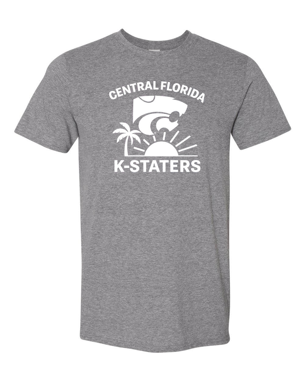 Gildan Unisex Softstyle® T-Shirt Graphite Heather front mockup
